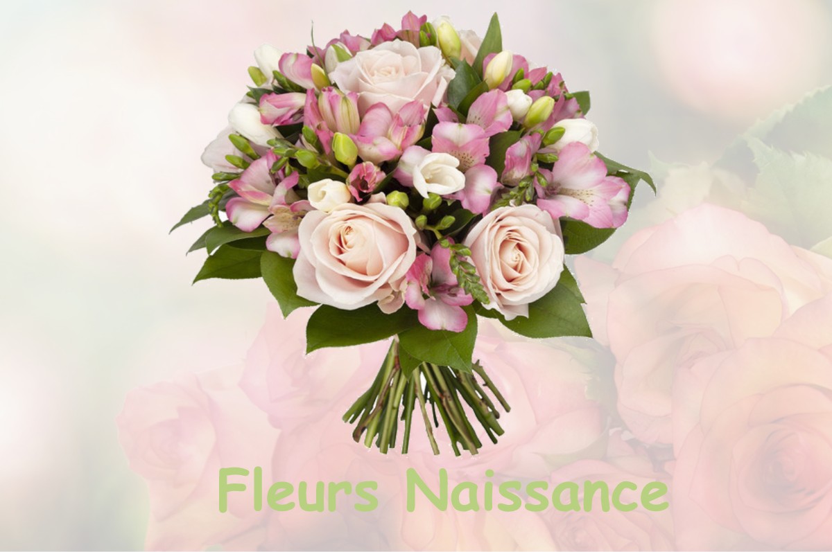 fleurs naissance LE-GOURAY